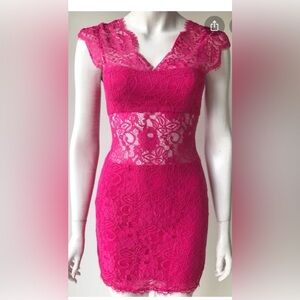 BCBG MAXAZRIA  Begonia Devom Lace Cockatil Dress Size 4